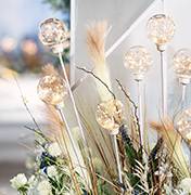 阿勒泰婚礼策划方案：芦苇